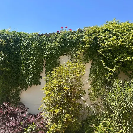 Dépendance La Corte Affittacamere 3*